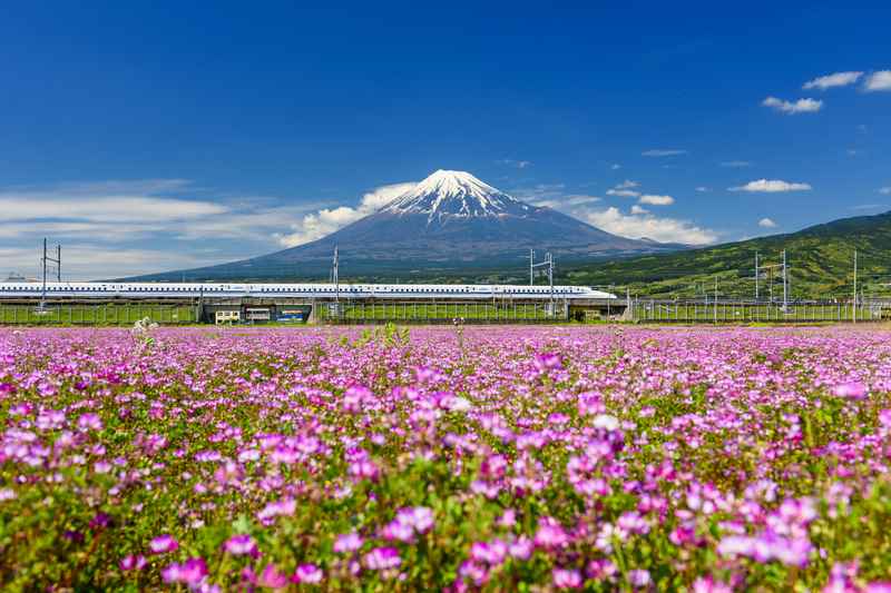 Ervaar de snelheid en innovatie van de Shinkansen-trein in Japan met jeugdreizen naar Japan – de snelste manier om het land te verkennen.